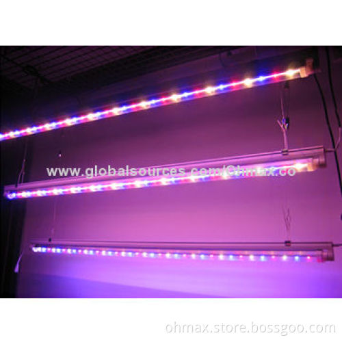 LED Poultry Grow Lights with T8 Tube, 36W for Egg Production of Poultry, Turkey and Chicken